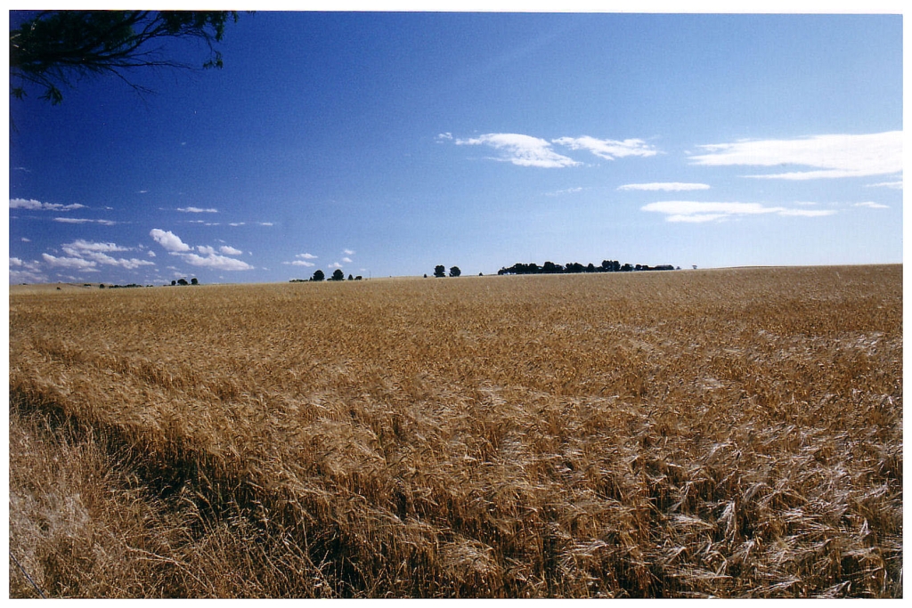 03 - The Flinders Ranges (32).jpg